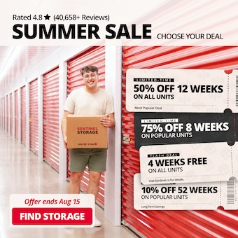 Sentinel Storage - self serve Promotion
