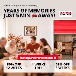 Sentinel Storage - self serve Promotion